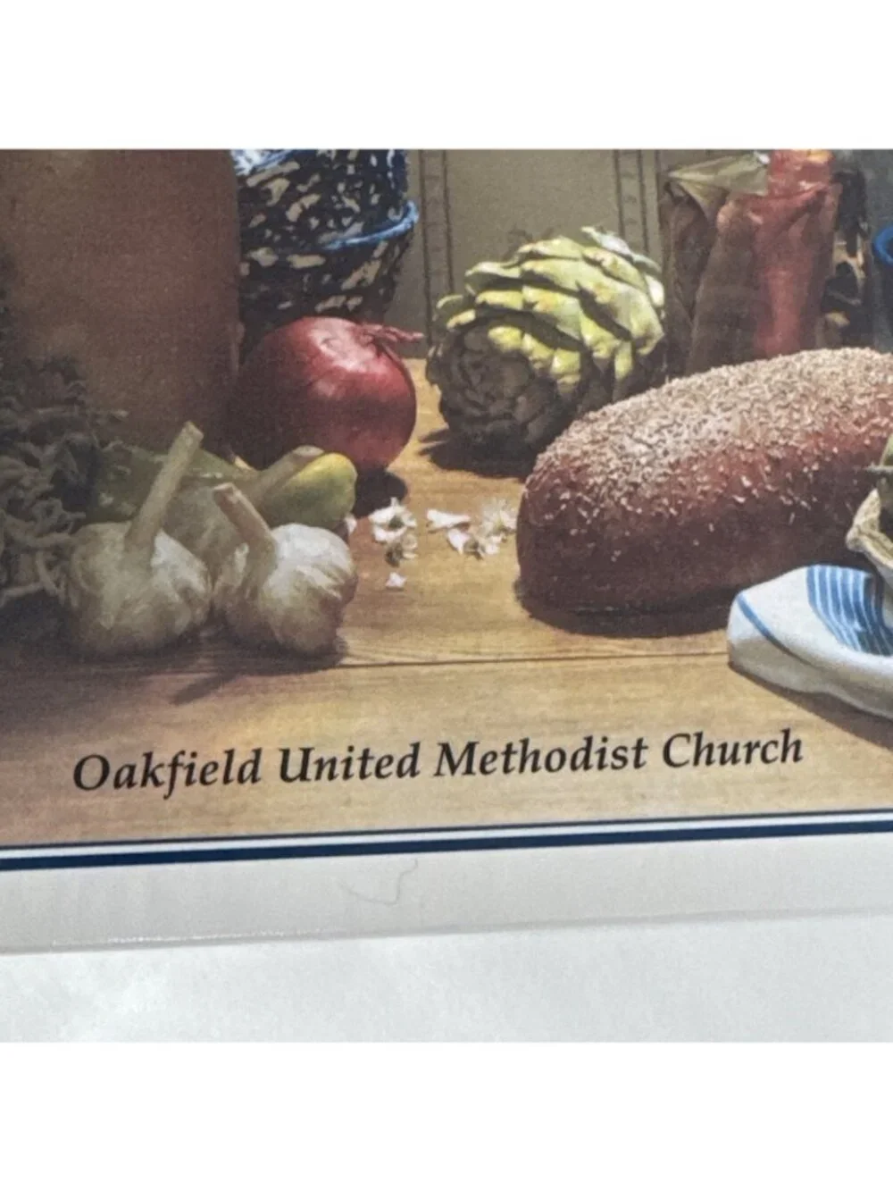2010 Pleasures from the Good Earth Cookbook Oakfield NY United Methodist Church